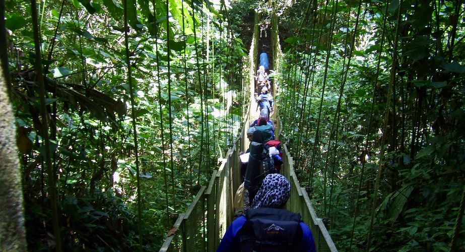 Taman Negara avondwandeling